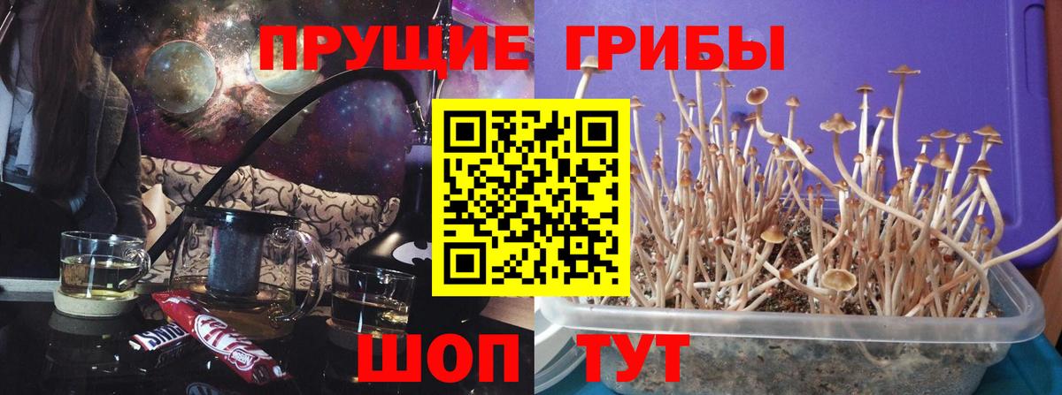 Галлюциногенные грибы MAGIC MUSHROOMS  Вход с VPN  Иваново  Псилоцибиновые грибы Magic Shrooms 
